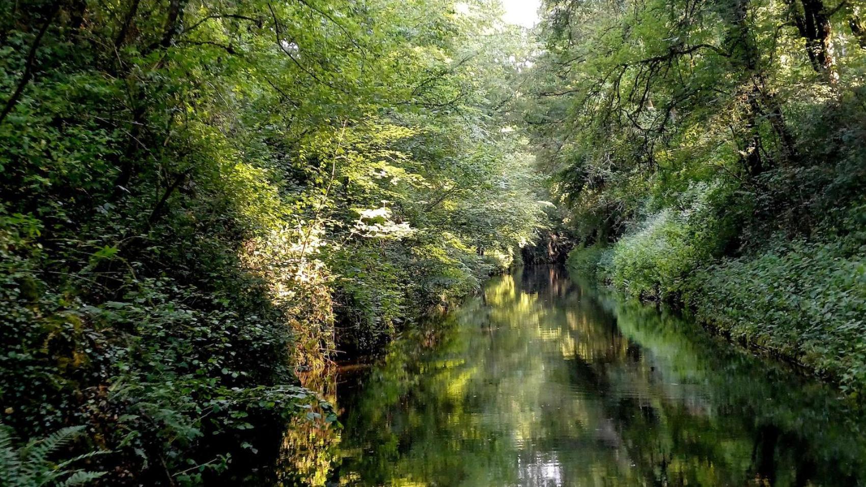 Le Manivert Panzió Vitry-Lache Kültér fotó