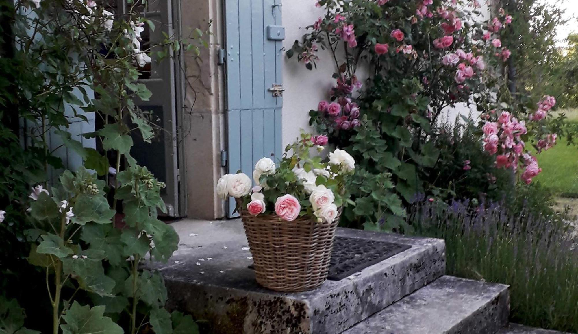 Le Manivert Panzió Vitry-Lache Kültér fotó